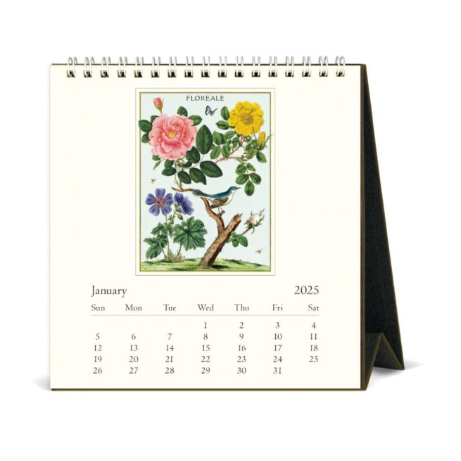 Cavallini 2025 Desk Calendar - Floreale - Image 2