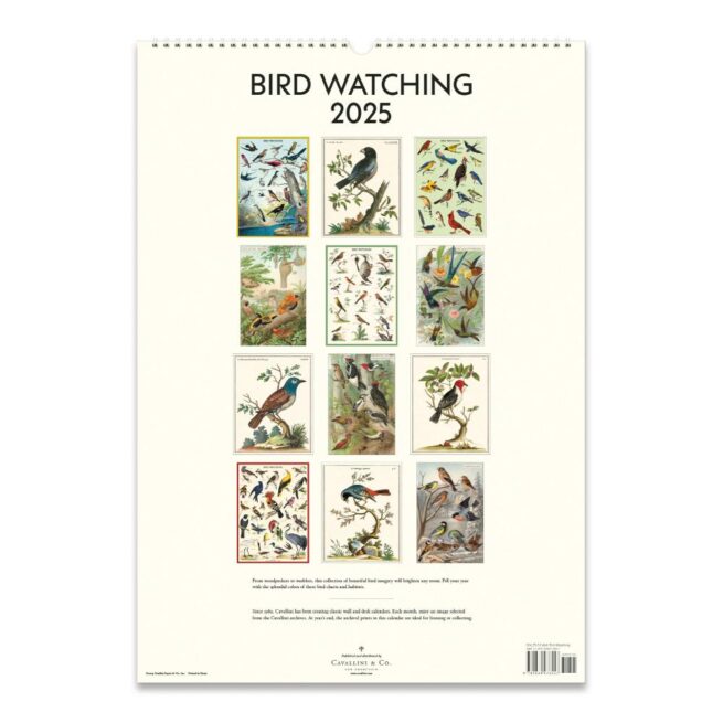 Cavallini 2025 Wall Calendar – Bird Watching - Image 3