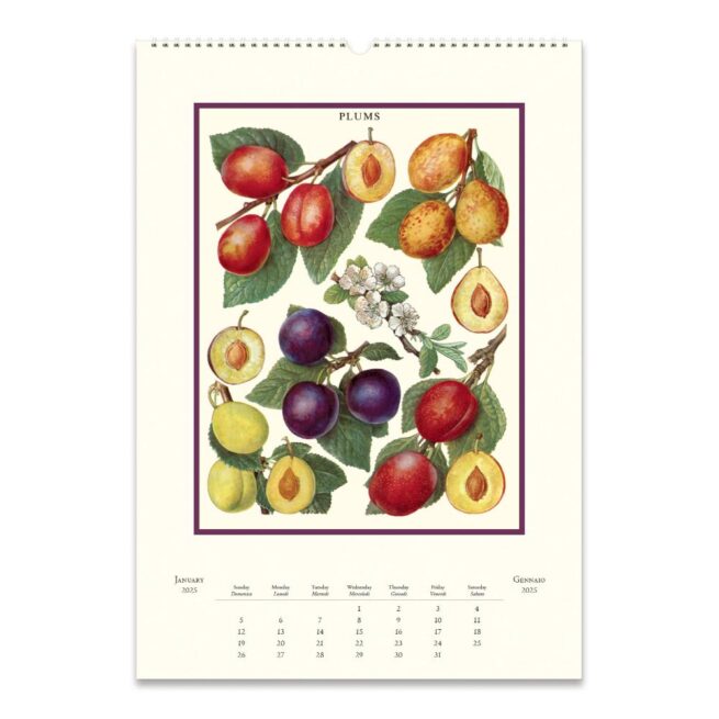 Cavallini 2025 Wall Calendar – Farmers Market - Image 2