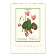 Cavallini 2025 Wall Calendar – Wildflowers - Image 2