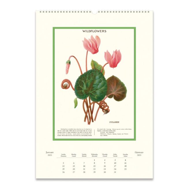 Cavallini 2025 Wall Calendar – Wildflowers - Image 2