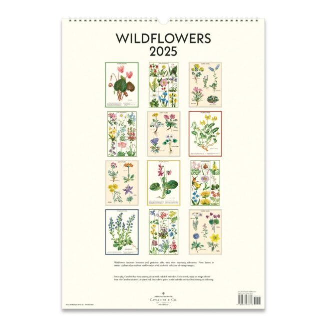 Cavallini 2025 Wall Calendar – Wildflowers - Image 3