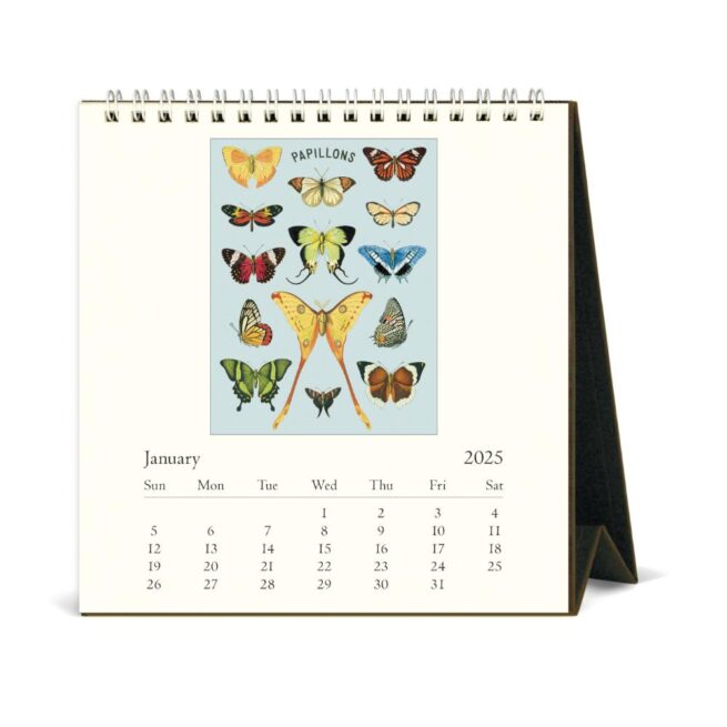 Cavallini 2025 Desk Calendar - Papillons - Image 2