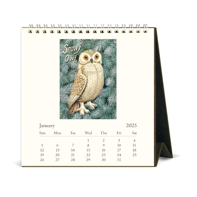 Cavallini 2025 Desk Calendar - Vintage Owls - Image 2