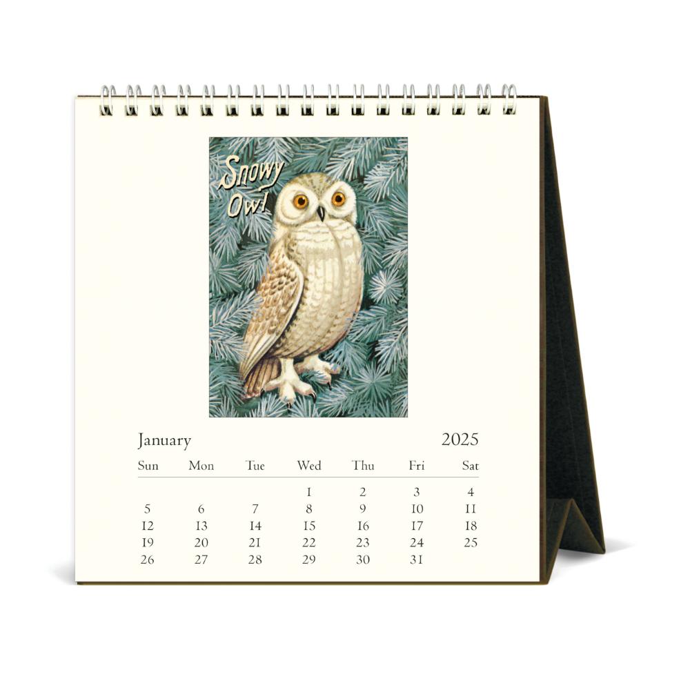 Cavallini 2025 Desk Calendar Vintage Owls Evans and Hall