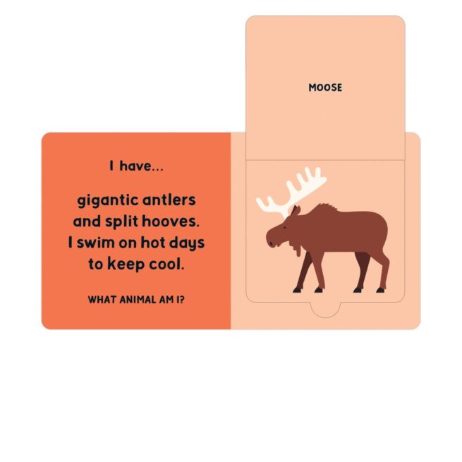 Mudpuppy Board Book - Forest Track - Image 4