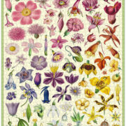 Cavallini - 1000 Pc Puzzle Flora Specimens - Image 2