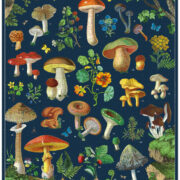 Cavallini - 1000 Pc Puzzle Foraging - Image 2