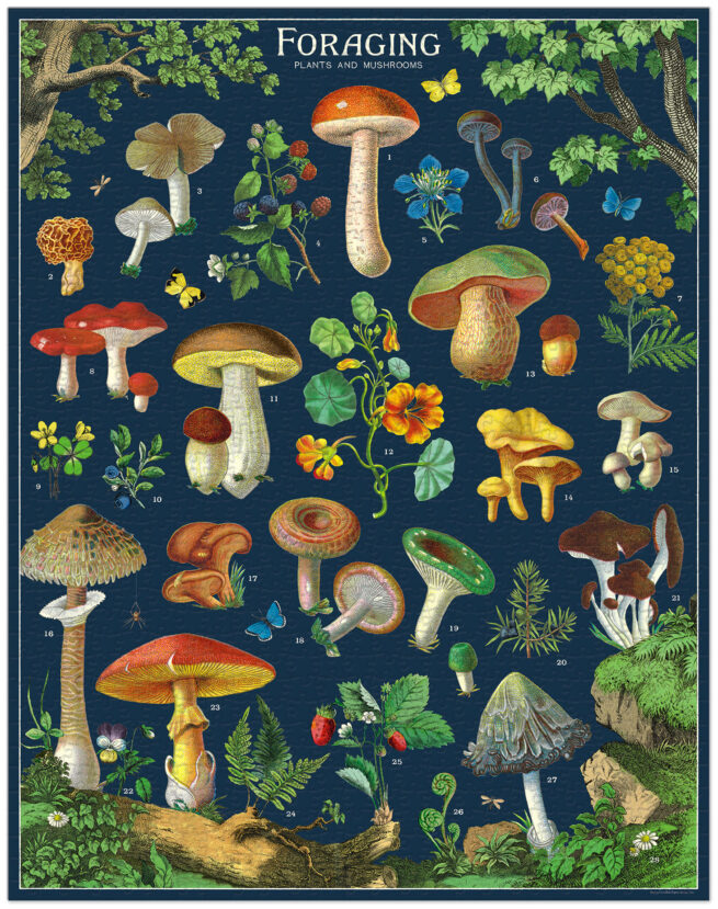 Cavallini - 1000 Pc Puzzle Foraging - Image 2