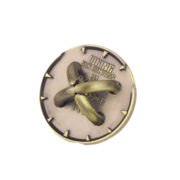 Project Genius - Viking Sun Compass - Image 2