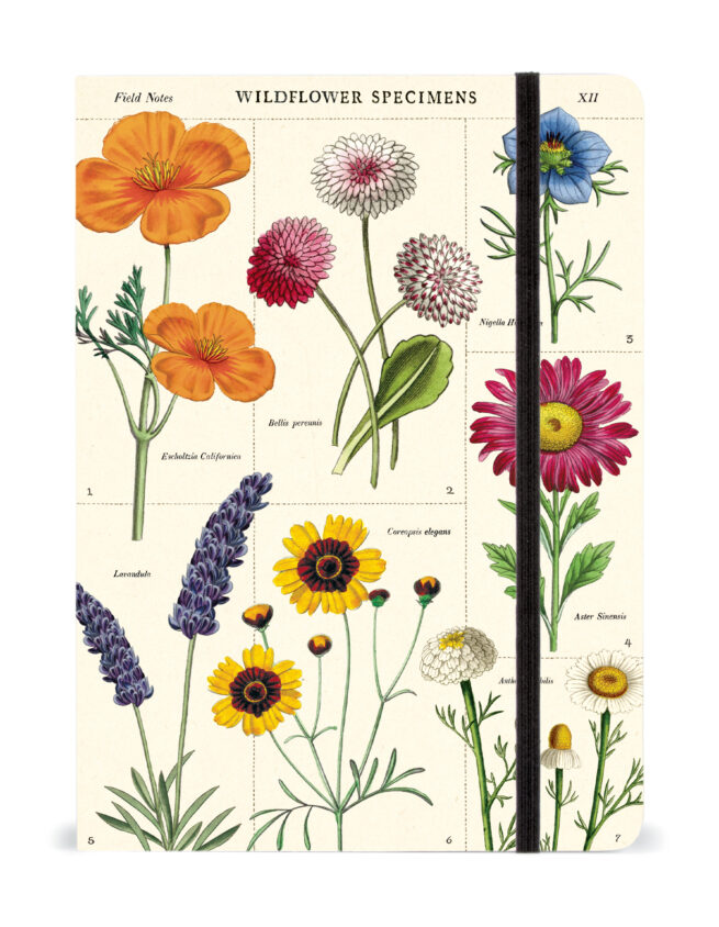 Cavallini Notebook Large - Wildflower