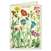 Cavallini Boxed Notecards - Wildflowers - Image 3