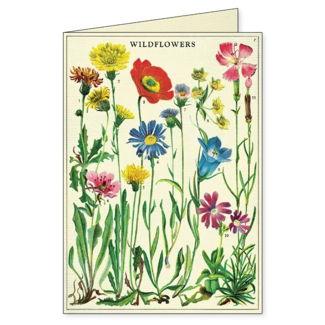Cavallini Boxed Notecards - Wildflowers - Image 3
