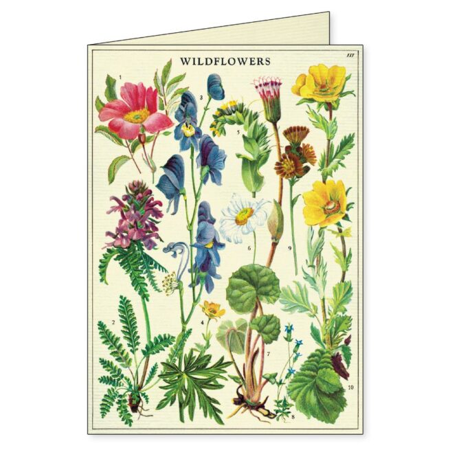 Cavallini Boxed Notecards - Wildflowers - Image 5