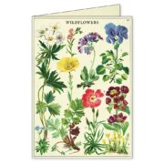 Cavallini Boxed Notecards - Wildflowers - Image 6