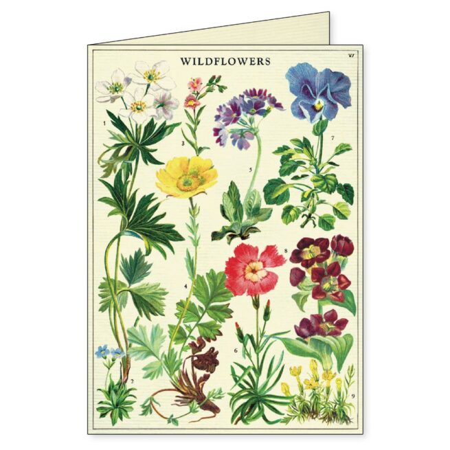 Cavallini Boxed Notecards - Wildflowers - Image 6