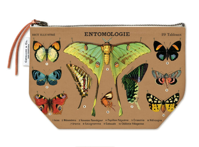 Cavallini Pouch -Entomology