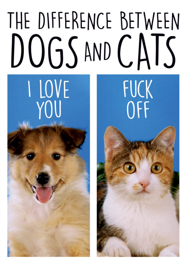 Dean Morris Card - Difference between Cats&Dogs