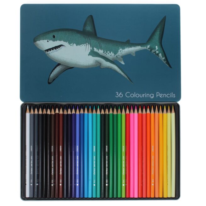 Rex London 36 Colouring Pencils - Sharks
