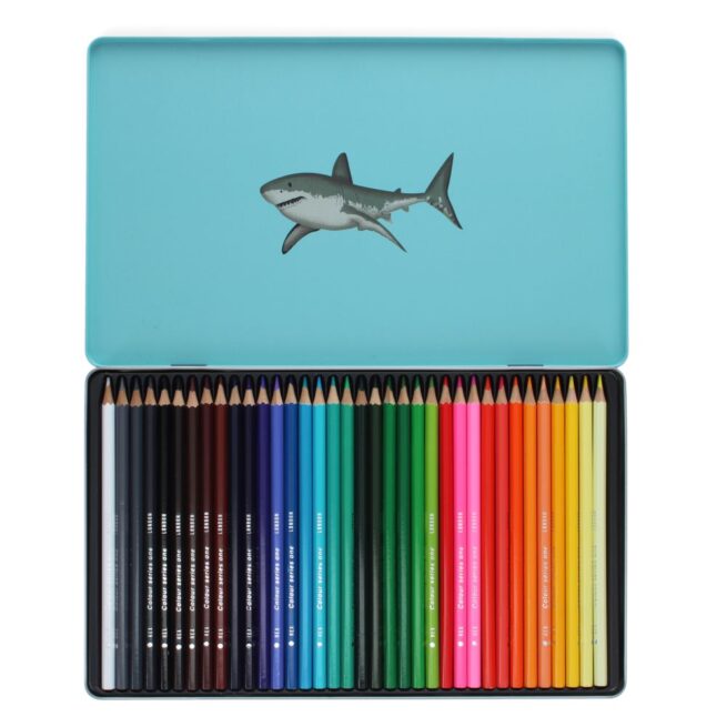 Rex London 36 Colouring Pencils - Sharks - Image 2