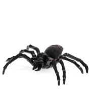 Rex London Realistic Toy - Tarantula - Image 2