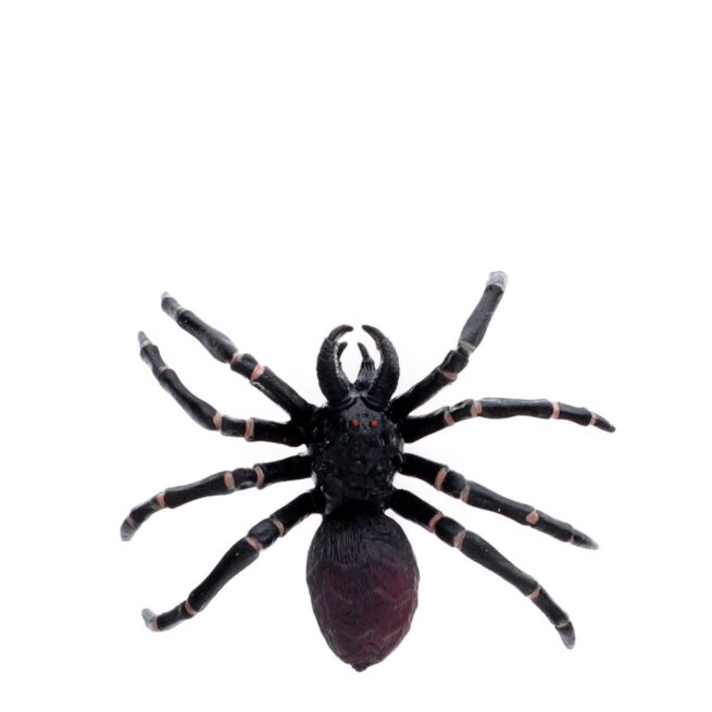 Rex London Realistic Toy - Tarantula - Image 3