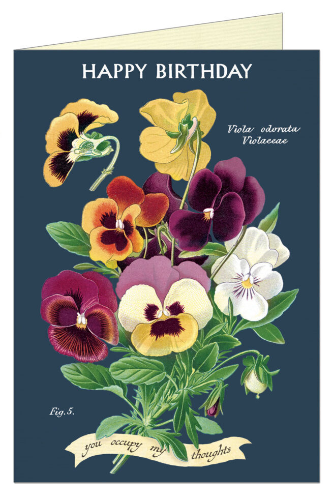Cavallini Greeting Card –  HB Violet