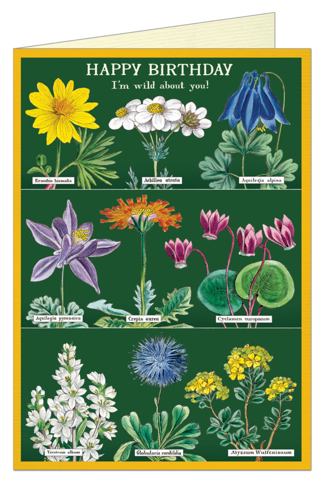 Cavallini Greeting Card – HB Wildflower