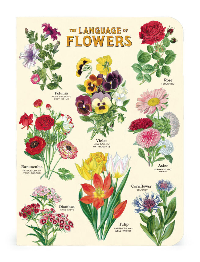 Cavallini Notebook Large -Language of Flowers - Image 2