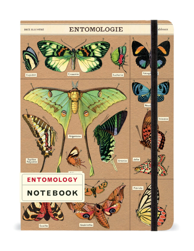 Cavallini Notebook Large -Entomology - Image 2