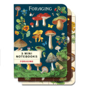 Cavallini Notebook Mini Set 3 - Foraging