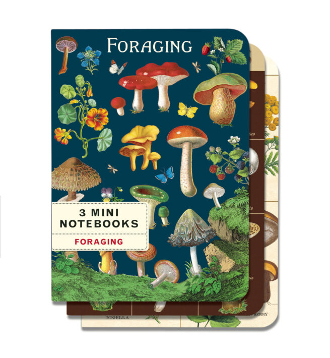 Cavallini Notebook Mini Set 3 - Foraging