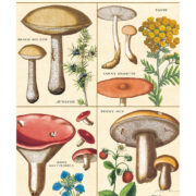 Cavallini Notebook Mini Set 3 - Foraging - Image 2
