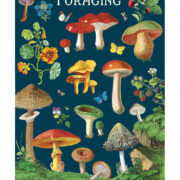 Cavallini Notebook Mini Set 3 - Foraging - Image 4