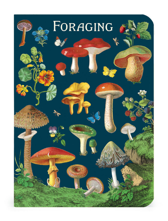 Cavallini Notebook Mini Set 3 - Foraging - Image 4