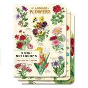 Cavallini Notebook Mini Set 3 - Language of Flowers
