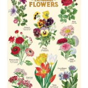 Cavallini Notebook Mini Set 3 - Language of Flowers - Image 4