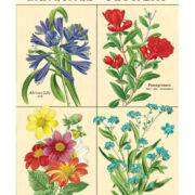 Cavallini Notebook Mini Set 3 - Language of Flowers - Image 3