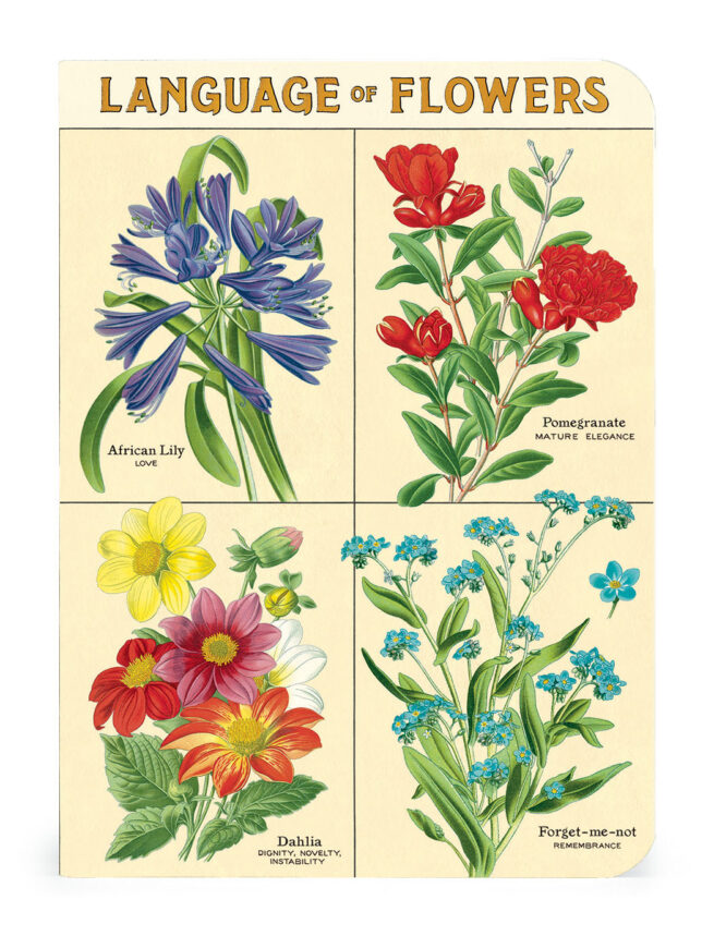 Cavallini Notebook Mini Set 3 - Language of Flowers - Image 3