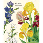 Cavallini Notebook Mini Set 3 - Language of Flowers - Image 2