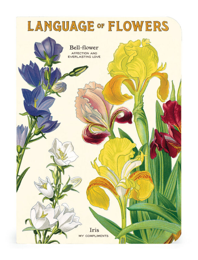 Cavallini Notebook Mini Set 3 - Language of Flowers - Image 2