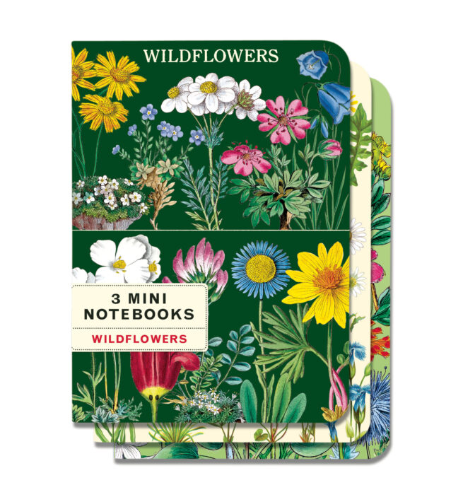 Cavallini Notebook Mini Set 3 - Wildflowers 2