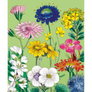 Cavallini Notebook Mini Set 3 - Wildflowers 2 - Image 2