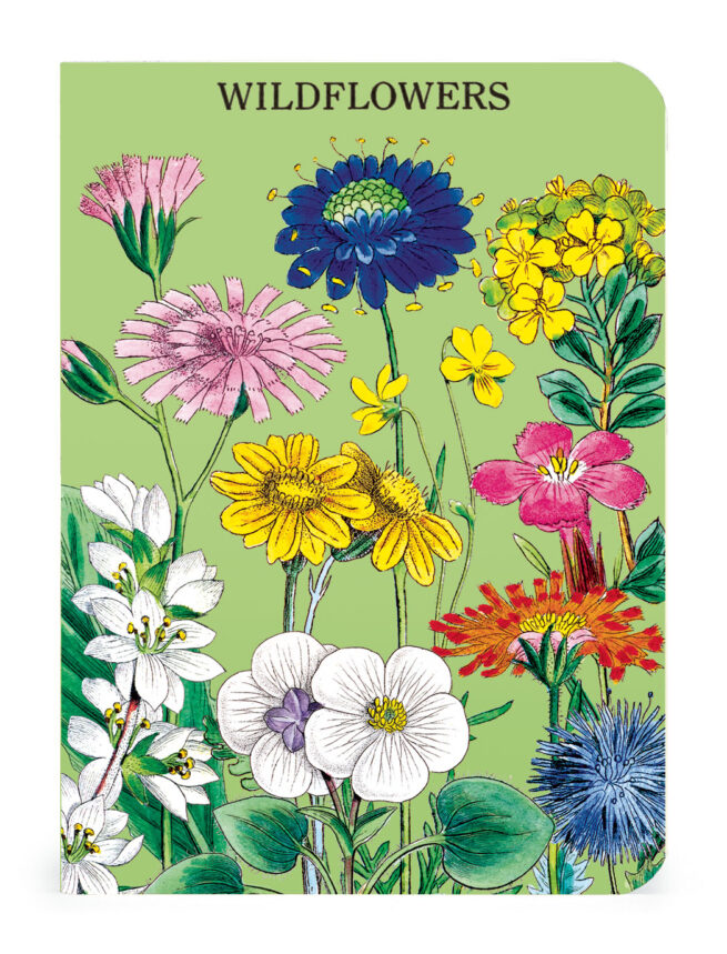 Cavallini Notebook Mini Set 3 - Wildflowers 2 - Image 2
