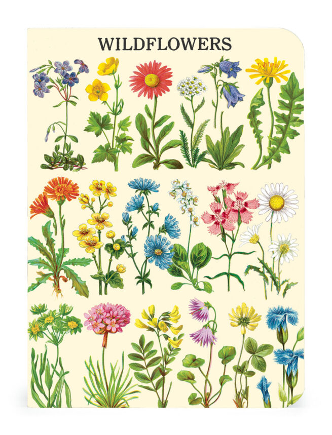 Cavallini Notebook Mini Set 3 - Wildflowers 2 - Image 3
