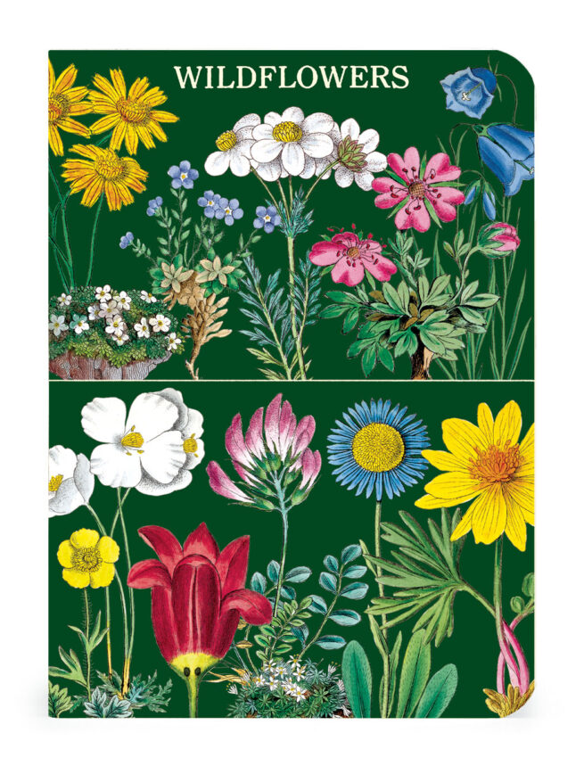 Cavallini Notebook Mini Set 3 - Wildflowers 2 - Image 4