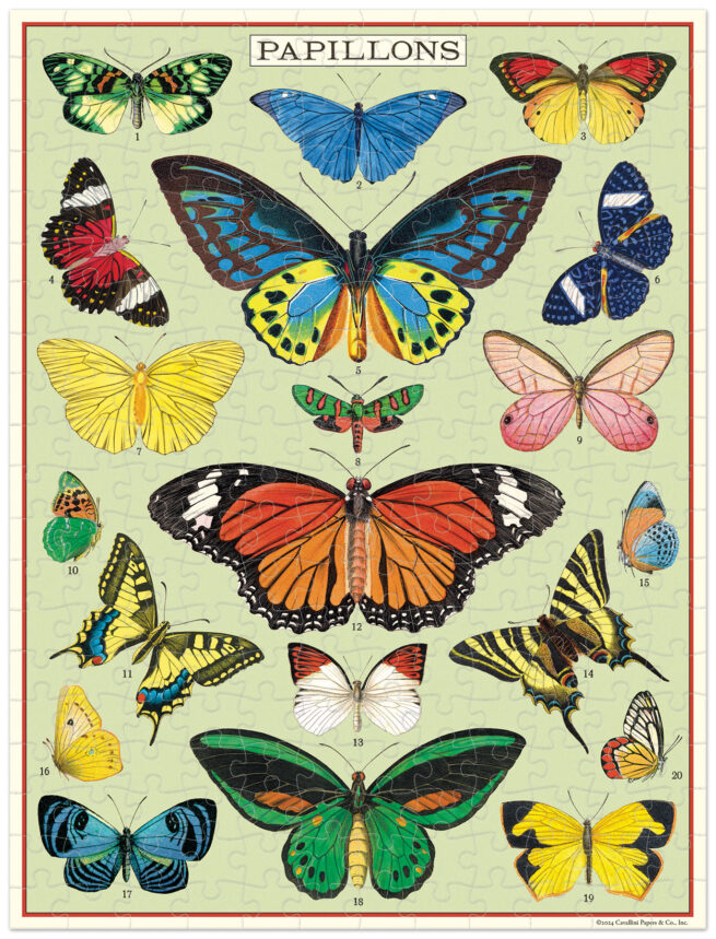 Cavallini - 240 Pc Mini Puzzle Butterflies - Image 3