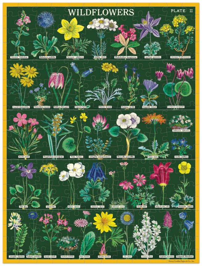 Cavallini - 240 Pc Mini Puzzle Wildflowers - Image 3