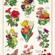 Cavallini Tea Towel -  Language of Flowers