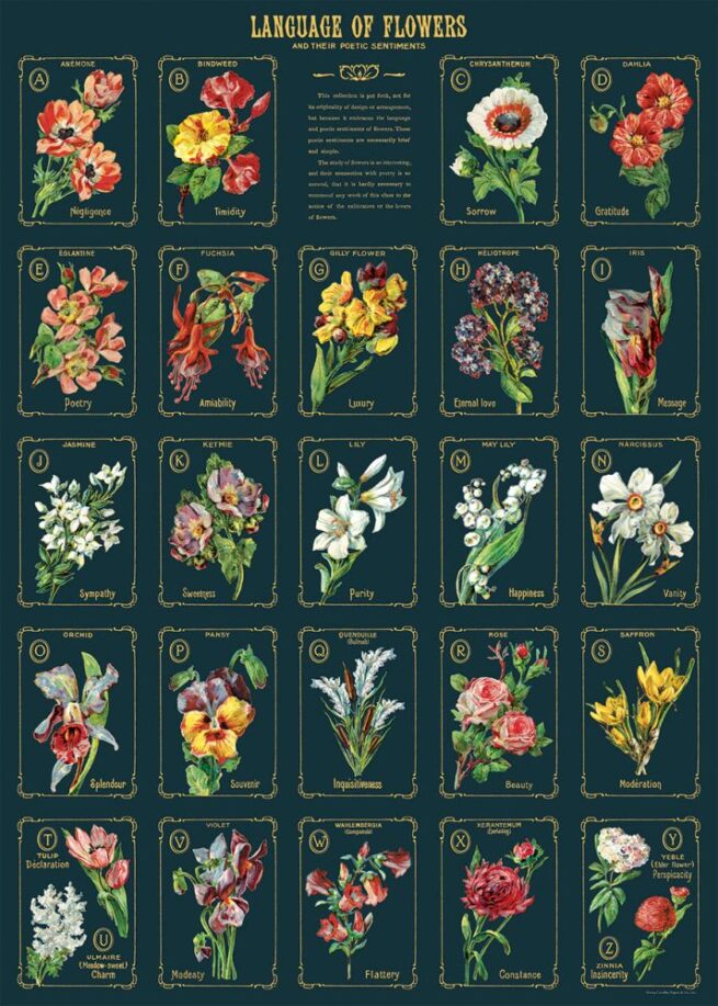 Cavallini Poster/Gift Wrap - Language of Flowers